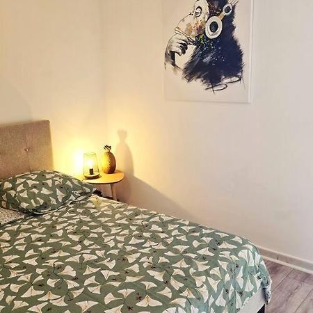 Elegant Studio Les Tourtereaux 생드니 외부 사진